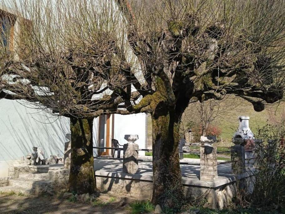 Gite A La Bonne Fermiere Nevy-Sur-Seille Exterior photo